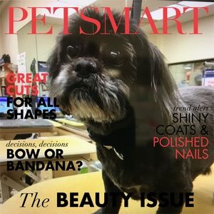 Meet your Posher, Deana